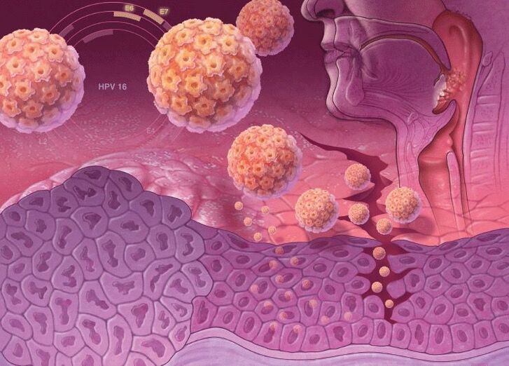 Prodiranje HPV-a u ljudsko tijelo