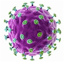 Što je humani papiloma virus infekcija